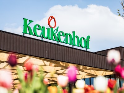 Keukenhof 1 1000x750