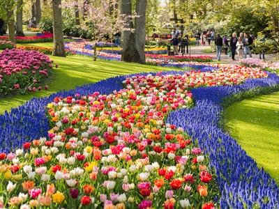 Keukenhof 5 1000x750