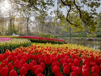 Keukenhof 6 1000x750