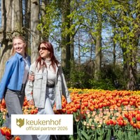 Keukenhof – Amsterdam Bus Transfer