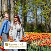 Bustransfer Keukenhof - Amsterdam
