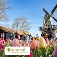Keukenhof Day Trip with Guided Tour, Free Time and Bus Transfer
