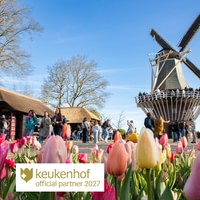 Dagtrip naar Keukenhof met rondleiding, vrije tijd en busvervoer