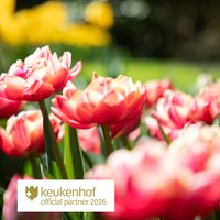 Keukenhof Entry Tickets