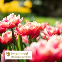 Keukenhof Entreebewijs