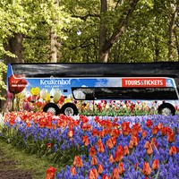 Keukenhof – Amsterdam bus transfer