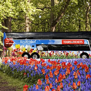 Keukenhof – Amsterdam bus transfer