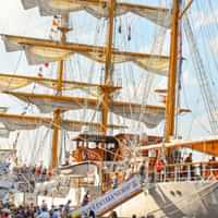 Bols x LOVERS: The Ultimate Luxury Cocktail Cruise for SAIL 2025