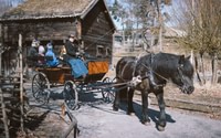 Skansen – Open-air museum