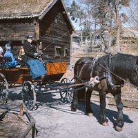 Skansen - friluftsmuseum
