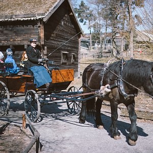 Skansen - friluftsmuseum