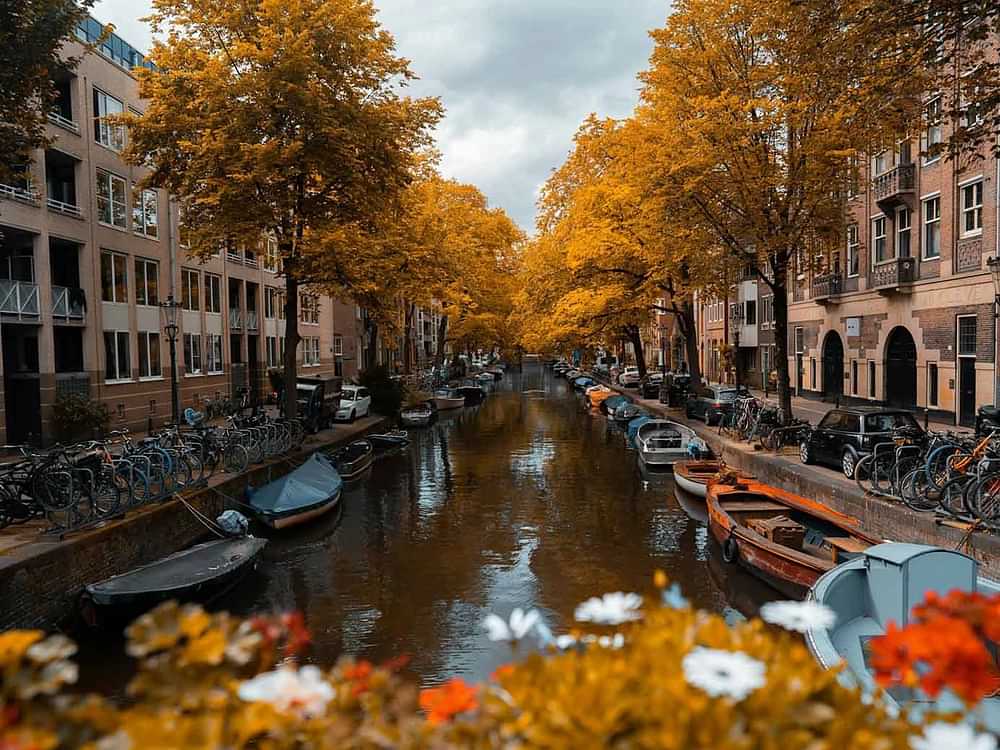 Great things to do in Amsterdam in autumn