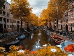 Great things to do in Amsterdam in autumn