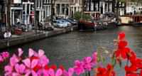 https://api.tours-tickets.com/media/5iqo1igw/amsterdam-spring-flowers.jpg?anchorcenter&modecrop&width1270&height680&rnd133136735031600000&formatwebp