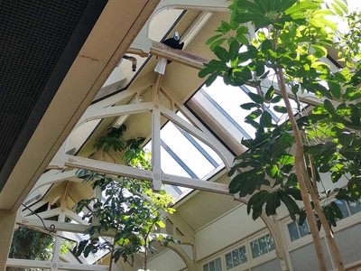 Artis aviary yu5begqd