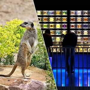 ARTIS Royal Zoo  Micropia