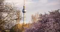 https://api.tours-tickets.com/media/uirpuoo2/berlin-in-spring-with-cherry-blossom.jpg?anchorcenter&modecrop&width1270&height680&rnd133136744513670000&formatwebp