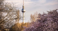 https://api.tours-tickets.com/media/uirpuoo2/berlin-in-spring-with-cherry-blossom.jpg?anchorcenter&modecrop&width1270&height680&rnd133136744513670000&formatwebp