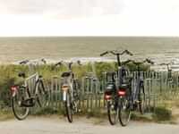 Dutch in English sayings
