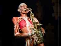 BODY WORLDS: The Happiness Project