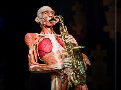 Body worlds amsterdam attraction in text taehe5yi