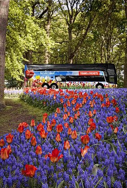 Bus tours