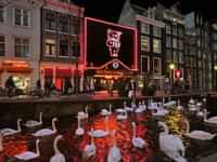 Things to do in the Amsterdam Red Light District