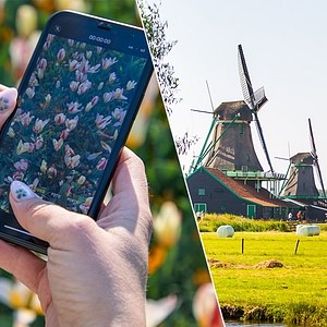 Keukenhof + Countryside and Windmills tour