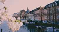 https://api.tours-tickets.com/media/zacfndjt/copenhagen-christianshavn-in-spring.jpg?anchorcenter&modecrop&width1270&height680&rnd133136759596830000&formatwebp