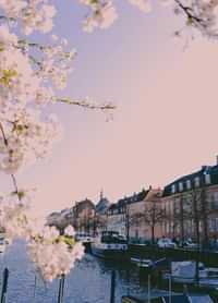 Copenhagen
