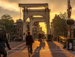 What To Do In Amsterdam? Everything!