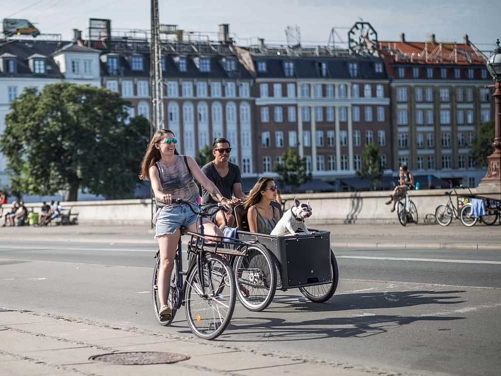 Copenhagen by bike: Exploring Copenhagen's bicycle culture