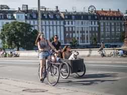 Copenhagen by bike: Exploring Copenhagen's bicycle culture