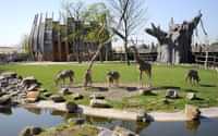 Rotterdam Zoo Diergaarde Blijdorp