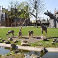 Rotterdam Zoo Diergaarde Blijdorp