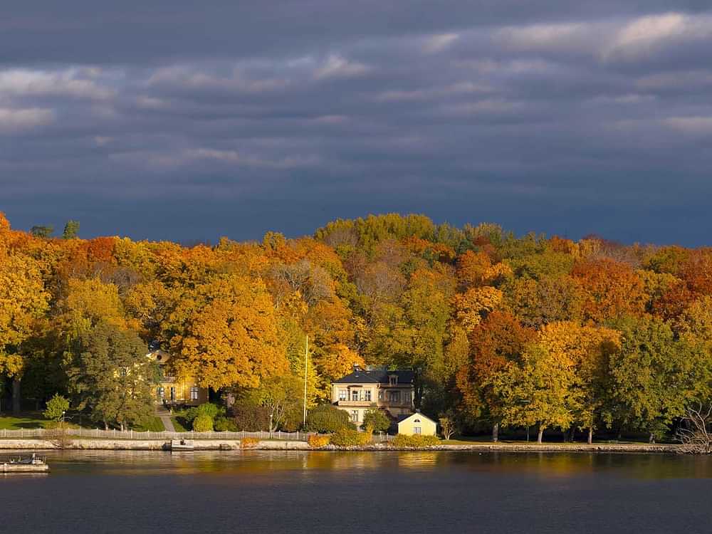 The districts of Stockholm: Discover gorgeous Djurgården