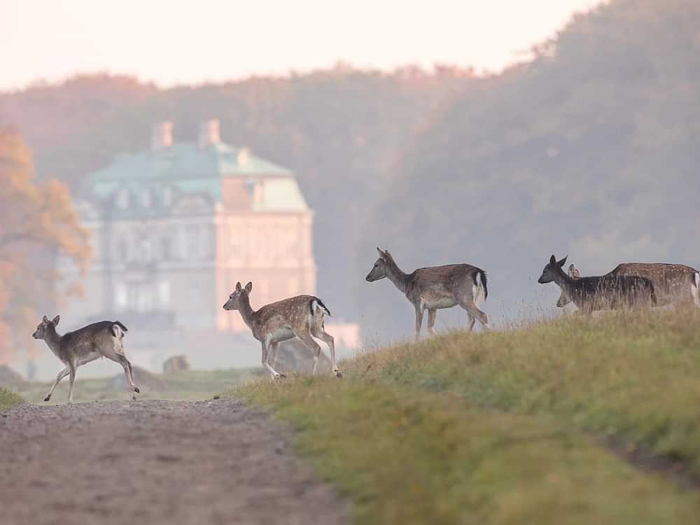 4 Fun day trips from Copenhagen
