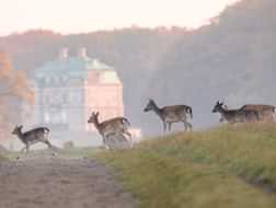 4 Fun day trips from Copenhagen
