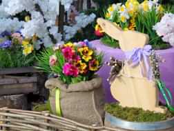 10 things to do this Easter in Amsterdam