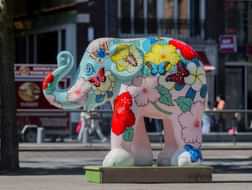 Why is Amsterdam filled with brightly painted elephants?