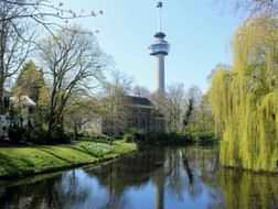 Top things to do during summer in Rotterdam