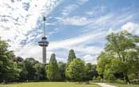 Euromast