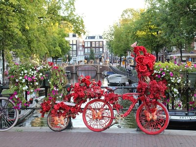 Flowerbike cczlxfec