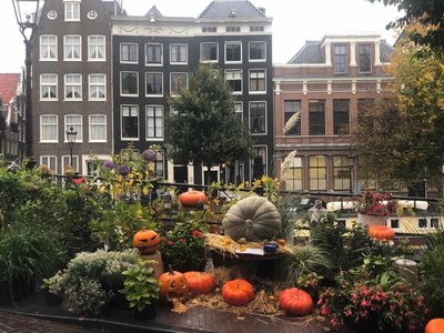 Halloween pumkins on the amsterdam canals ewhdwx5i