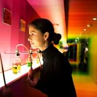 House of Bols