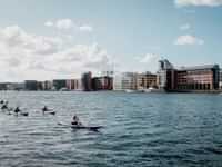 Explore the harbour by kayak