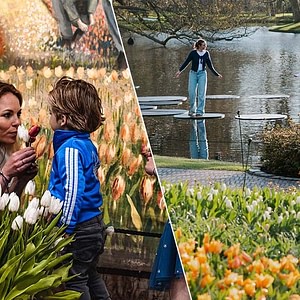 From Amsterdam: Keukenhof Gardens & Tulip Experience Tour