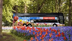 Keukenhof Gardens