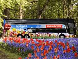 Coming soon to Tours and Tickets