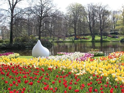 Keukenhof flowers and art hfknczk2